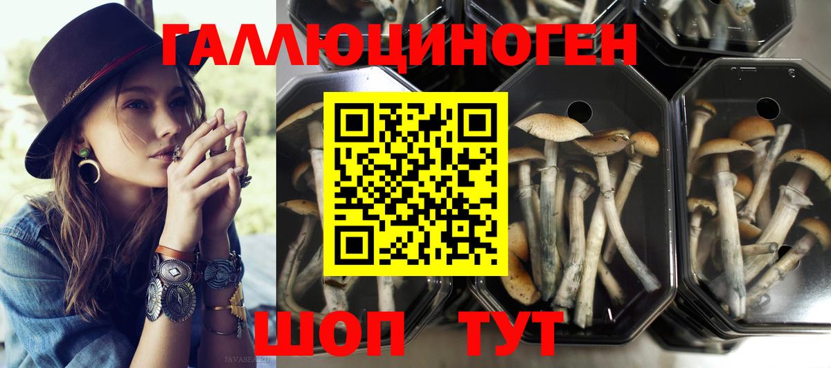 Псилоцибиновые грибы мухоморы  Псилоцибиновые грибы мухоморы  Вход с VPN  Иваново 